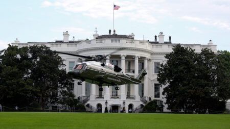 White House lawn