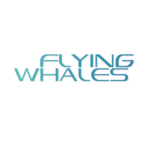 Flying Whales