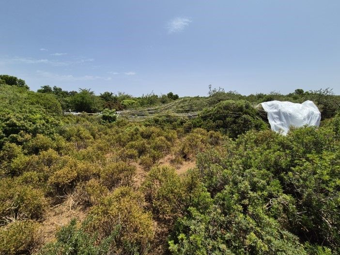 White parafoil parachute deployed over green landscape testing area
