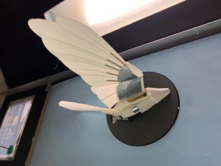 Robotic kestrel research aims to stabilize small drones A white robotic bird with articulated feathered wings and a fanned tail mounted on a black display stand